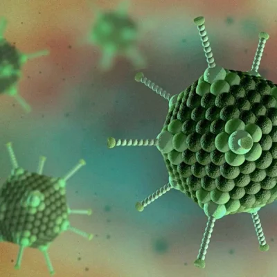 ویروس‌های آدنو مرغی در گله های گوشتی